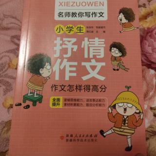 分类作文