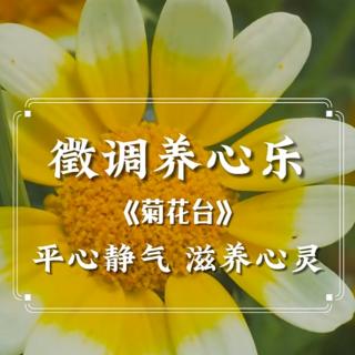 徵音，一曲菊花，一杯幽香