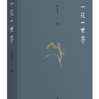 《一花一世界》黄宾虹的“浑然华滋”说（四）