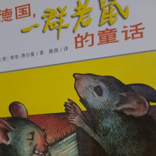 德国一群老鼠🐭的童话1