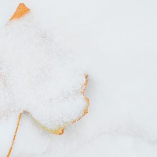 晚來天欲雪