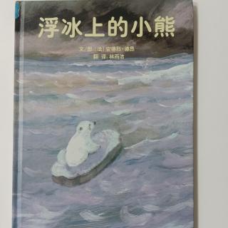 浮冰上的小熊