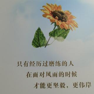 小毛驴之歌