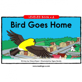 Bird Goes Home