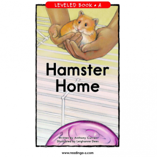 Hamster Home