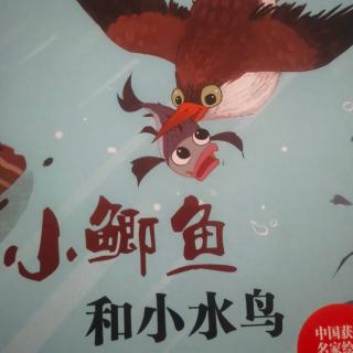 小鲫鱼和小水鸟