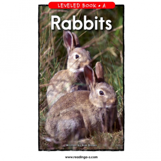 Rabbits