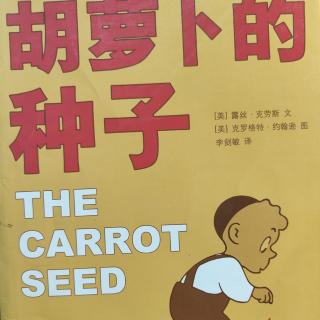 晚读故事分享《胡萝卜🥕的种子》
