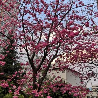 复习1月20日