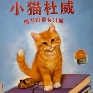 小猫杜威-图书馆里有只猫