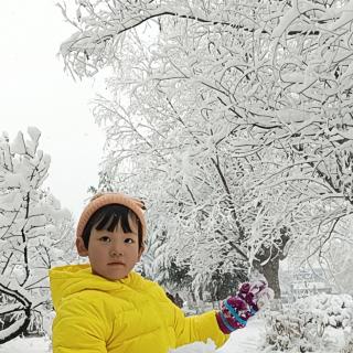 白雪歌送武判官归京