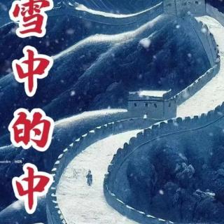 《大雪中的中国》作者 欧震 朗诵：潘长学
