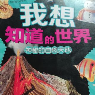 我想知道的世界~神秘的自然天地