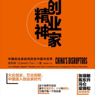 《创业家精神》政府助力创新