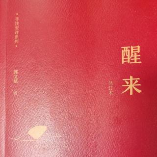 《醒来》第36 —43页