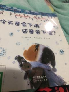 今天是会下雨还是会下雪？