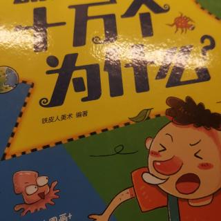 751《书香家庭，魅力西苑实小》