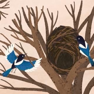 鸟巢故事：一根小树枝