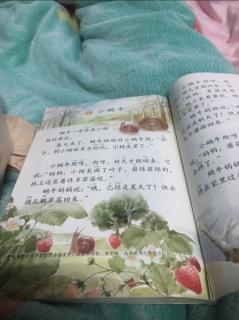 小画家和小蜗牛109页