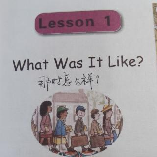 Lesson1 What was it like?