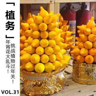 Vol.31 【植务】年宵花大乱斗！挑战植物过年关！