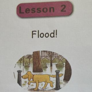 Lesson2 Flood!