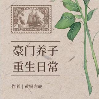 豪门养子重生日常  2    黄铜左轮