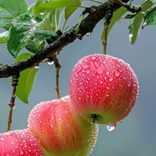 《暴风雨的启示》