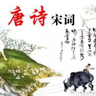 《傳統(tǒng)文化常識(shí)》為什么提到古代詩詞會(huì)首先想到“唐詩宋詞”？