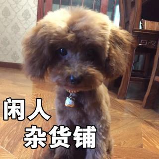 【29】【感同身受】再见了，布丁！再见了，我的爱犬，我的孩子，我的伙伴！