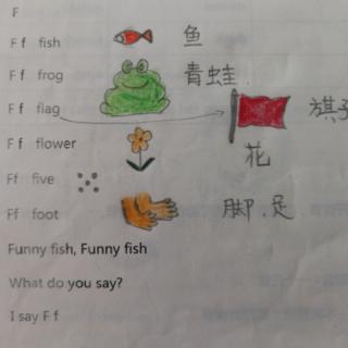 自然拼读F