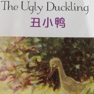 The ugly Duckling丑小鸭