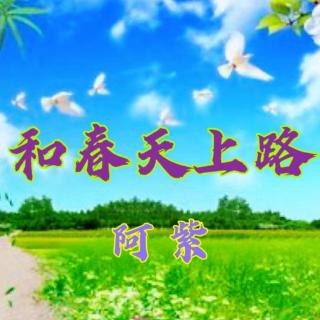 和春天上路
                 作者：阿紫