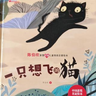 一只想飞的猫