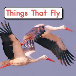 02 thing that fly