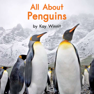 07 All about penguins
