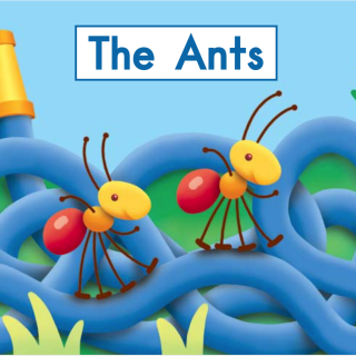 14 the ants