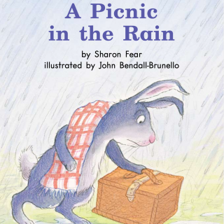 15 A picnic in the rain