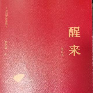 《醒来》我错了（第149—162页）