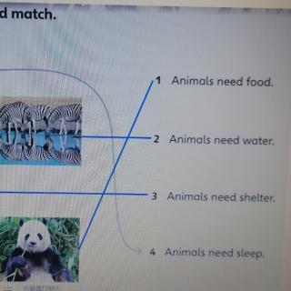 What do animals need?背诵