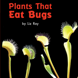 59 Plants that eat bugs