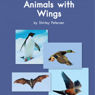 120 Animals with wings