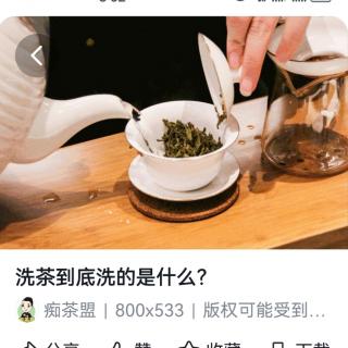 投茶与洗茶