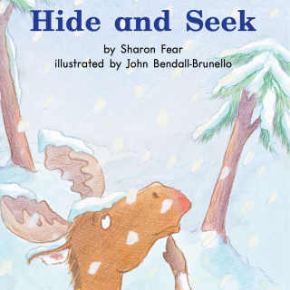96 Hide and seek