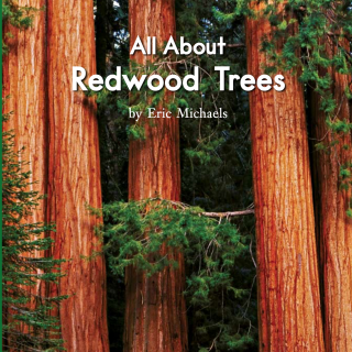 86 All about redwood trees