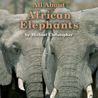 85 All about African Elephants