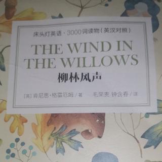 The wind in the willows
柳林风声
