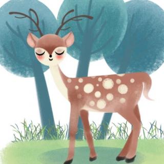 美丽的小鹿——绘本故事