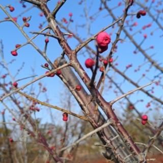 2月4日 成功激情