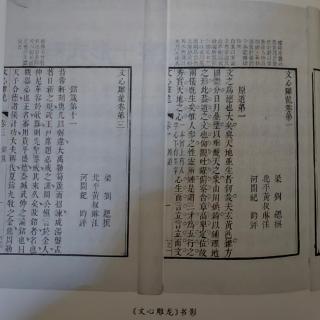 《文学是什么》第五章作品＝内容+形式吗？1